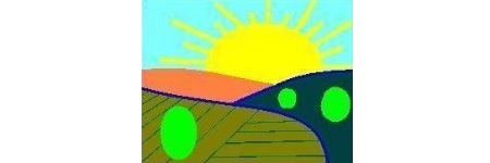 logo CVBDS